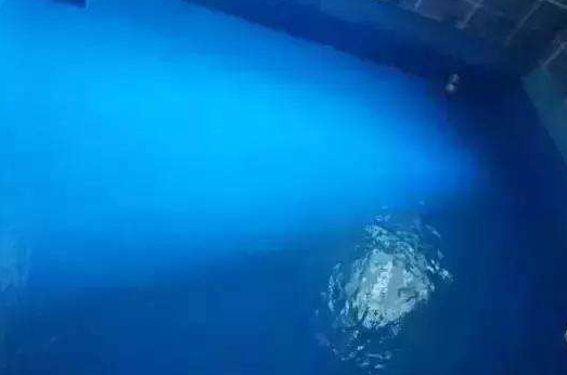 剛性防水怎么做,剛性防水材料常用有哪些？